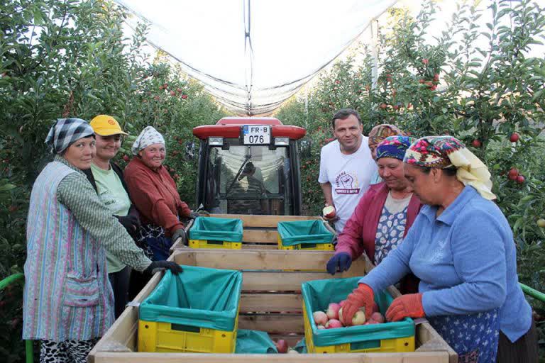 Andrei Năstase – la cules mere, la Domulgeni